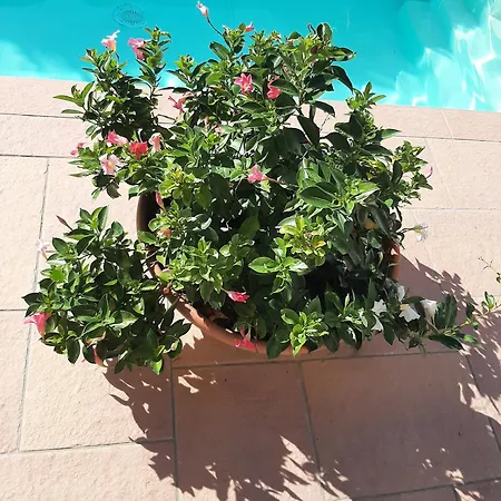 Borgo Dei Cadolingi Διαμέρισμα *